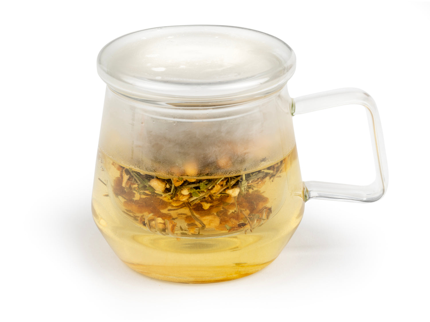 LIVORNO CUP, TRANSPERANT