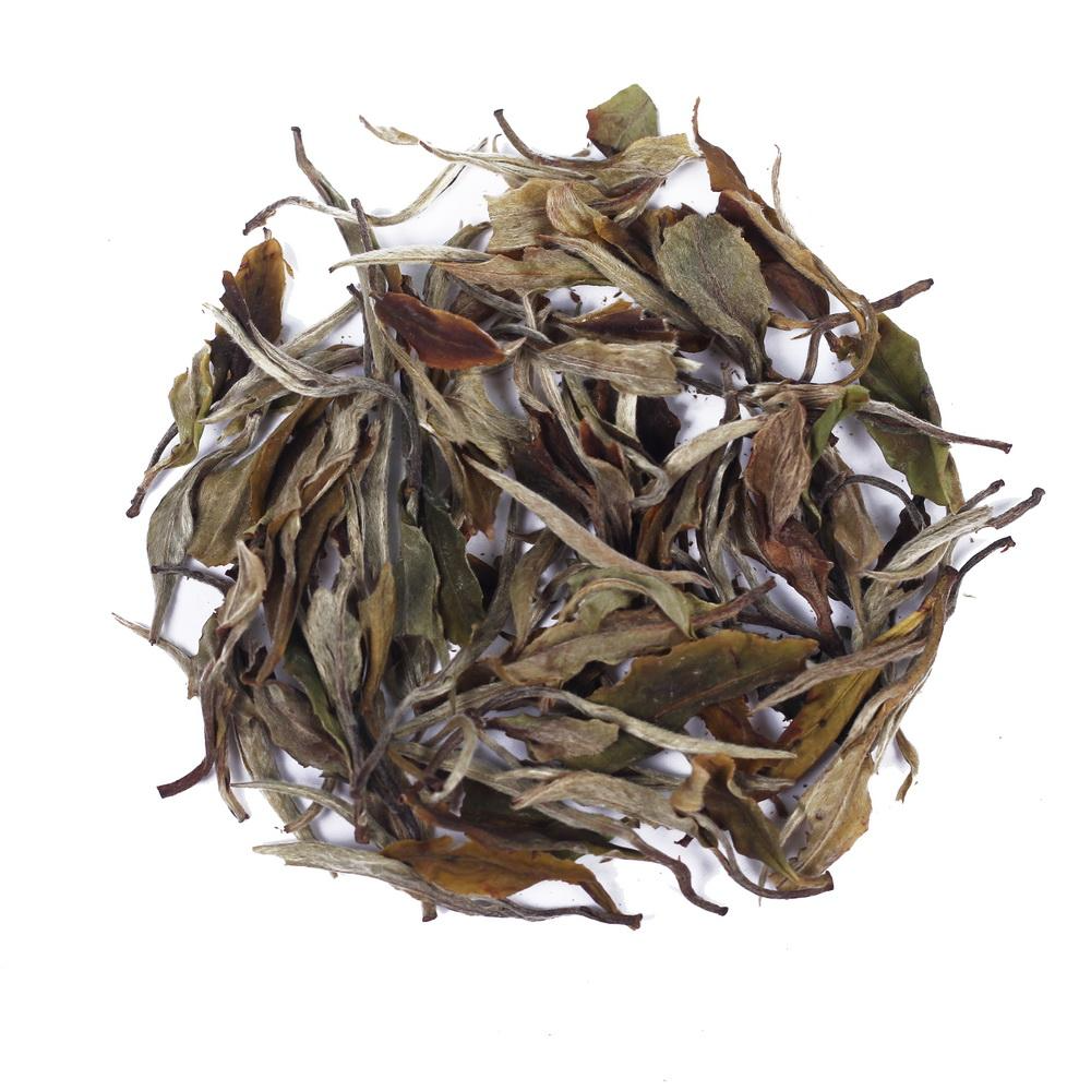 WHITE WINGS WHITE TEA
